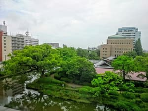 thumbnail: View from property