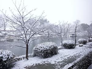 thumbnail: View from property
