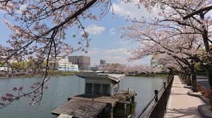 thumbnail: City view from property