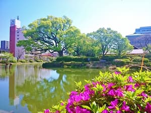 thumbnail: Land view from property