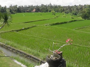 thumbnail: Terrace/patio