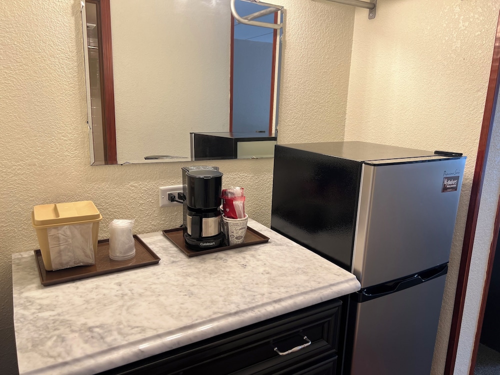 Mini-refrigerator