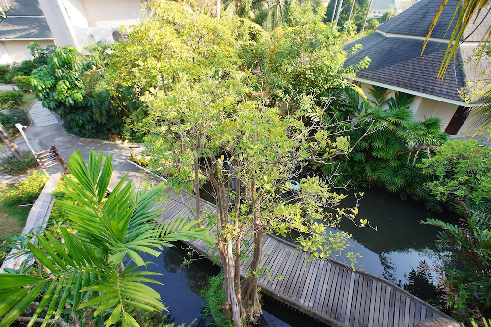 Garden view