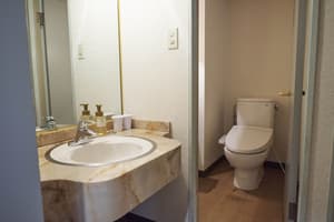 thumbnail: Bathroom amenities