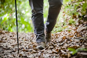 thumbnail: Hiking