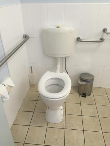 44228205.jpg