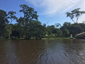 thumbnail: View from property