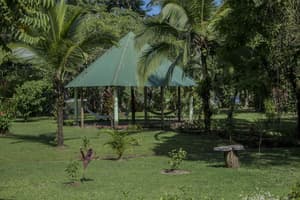 thumbnail: Garden