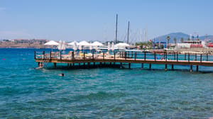 thumbnail: Beach