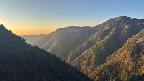 804304106.jpg