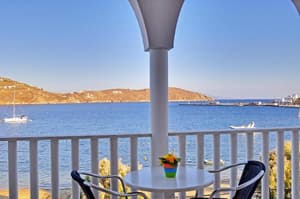 thumbnail: General view