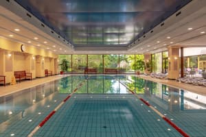 thumbnail: Swimming pool-spa