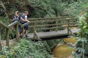 thumbnail: Hiking
