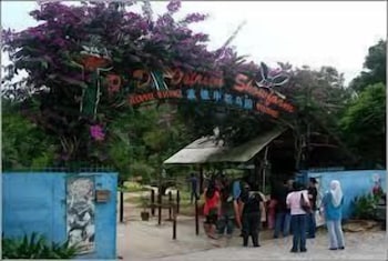 Play area