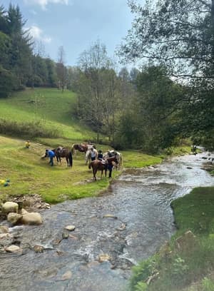 thumbnail: Horseback riding