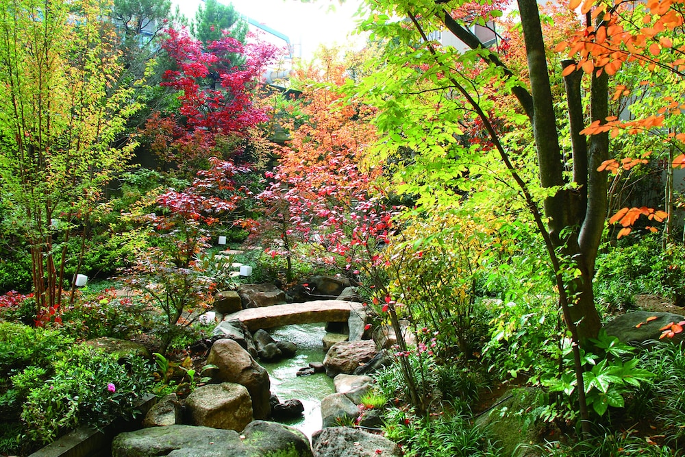 Japanese garden