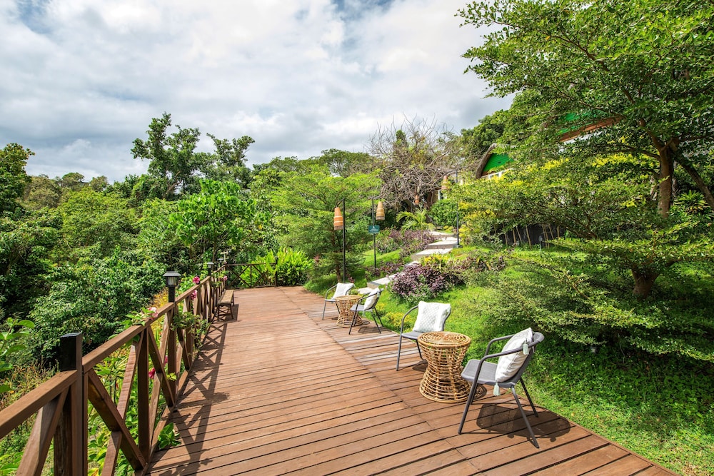 Garden view