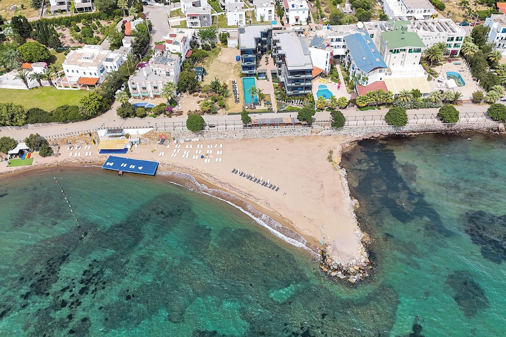 Primary image