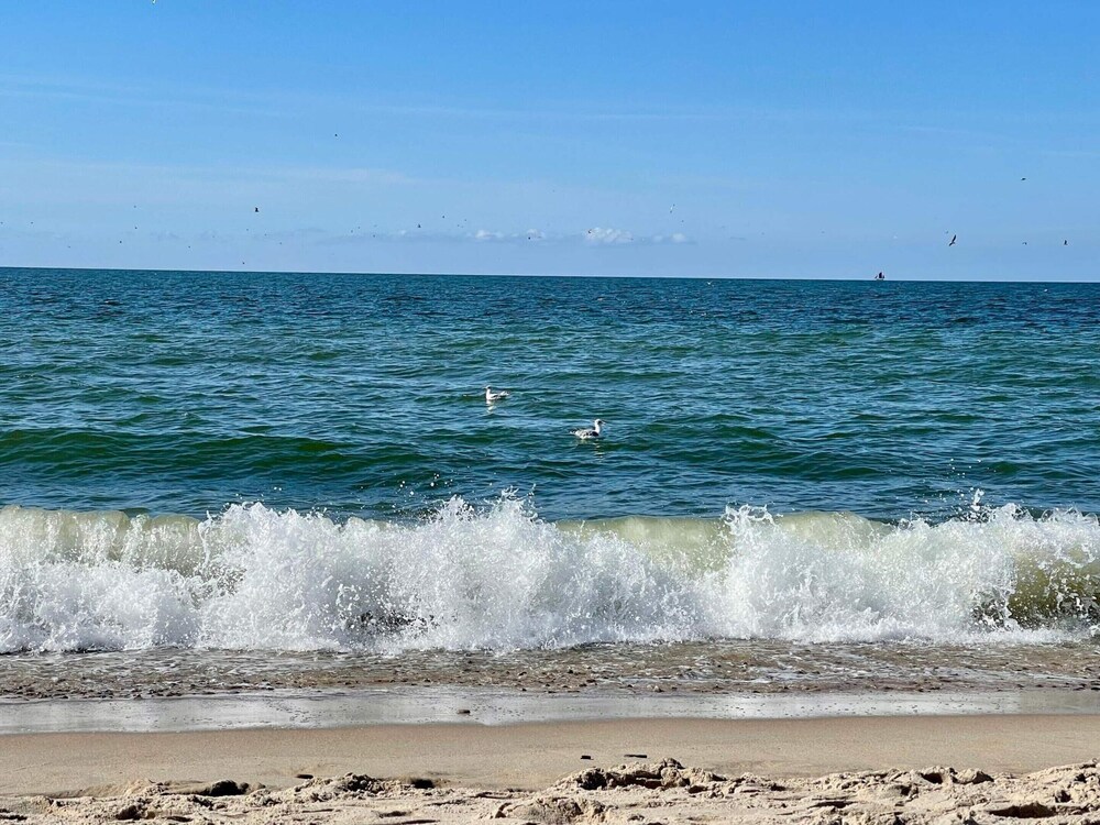 Water view