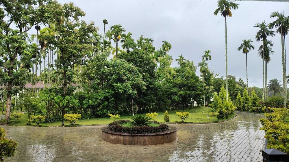 Surroundings