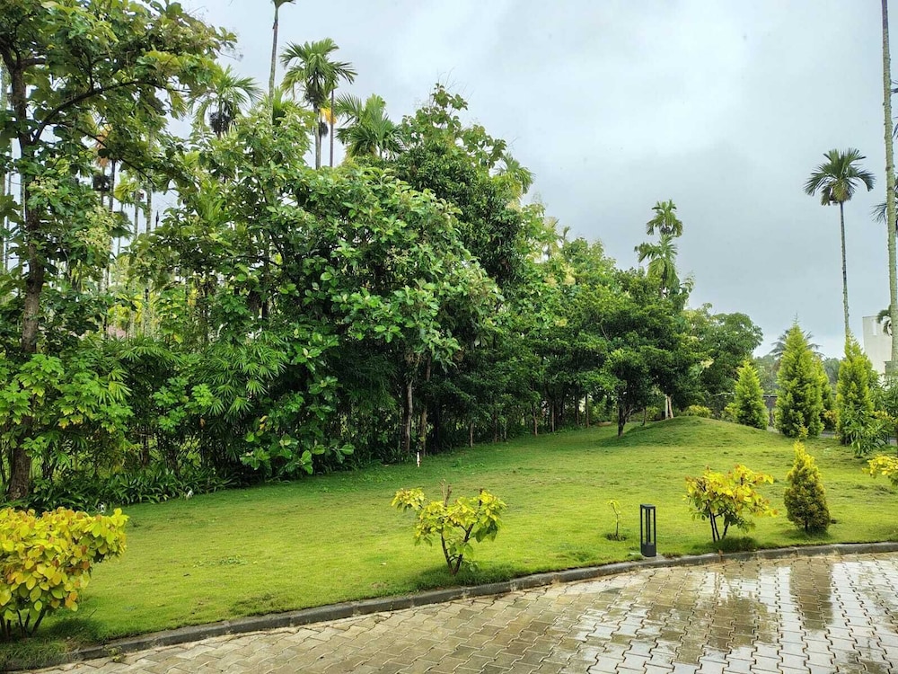 Surroundings