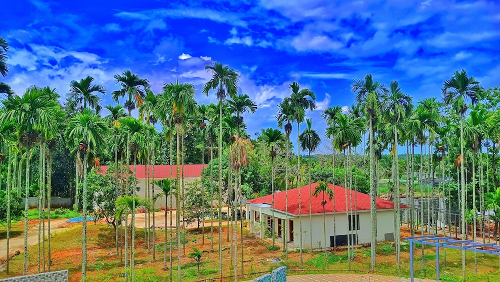 Surroundings