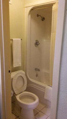 57956793.jpg