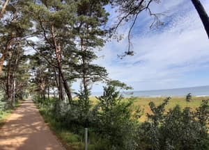 thumbnail: View from property