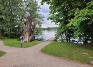 thumbnail: View from property