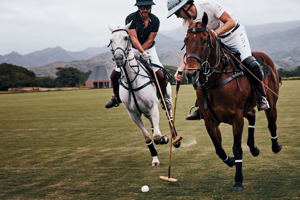 Horseback riding