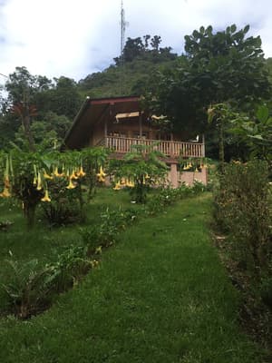 thumbnail: Terrace/patio