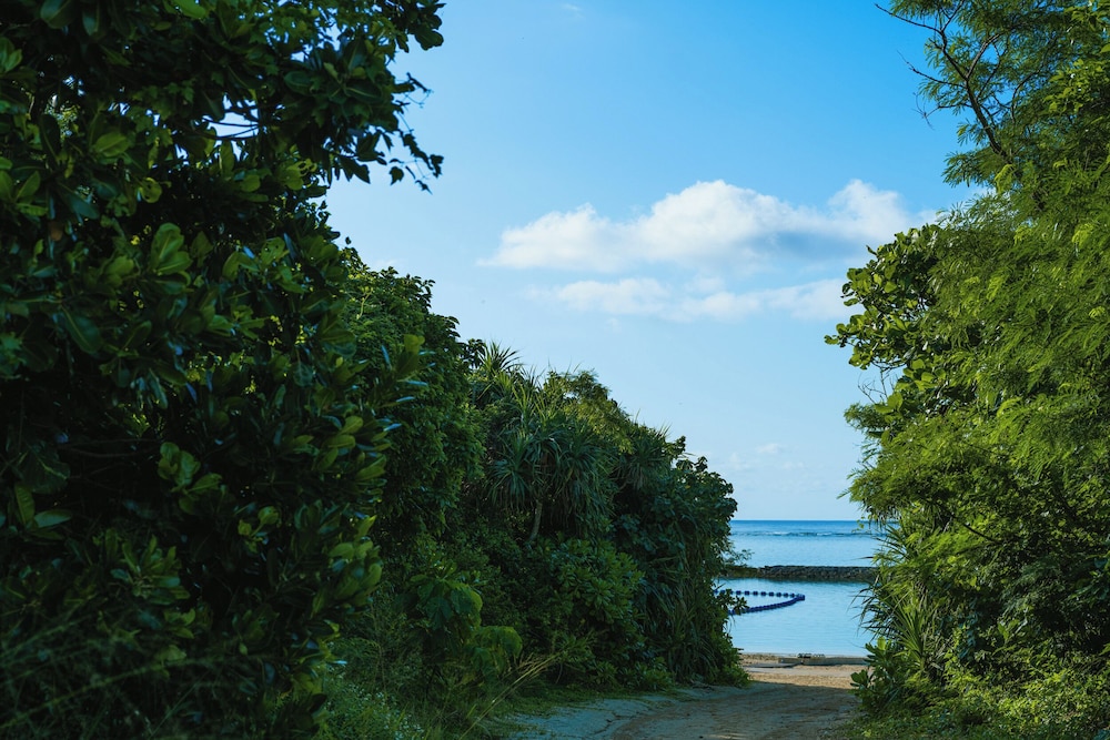Land view from property