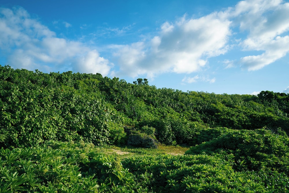 Land view from property
