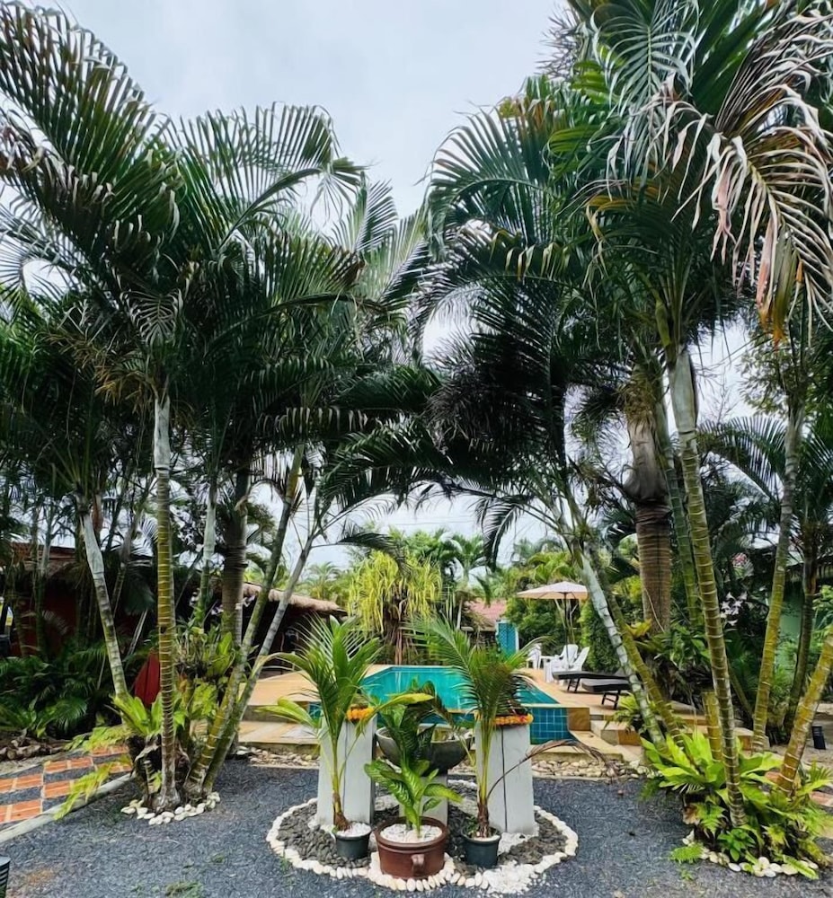Garden view