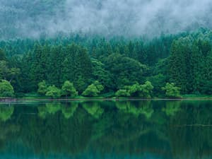 thumbnail: Lake