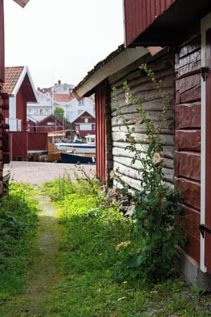 thumbnail: Exterior
