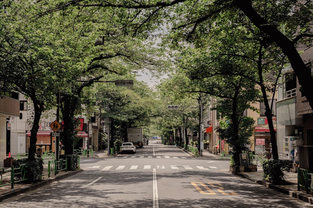 City view from property