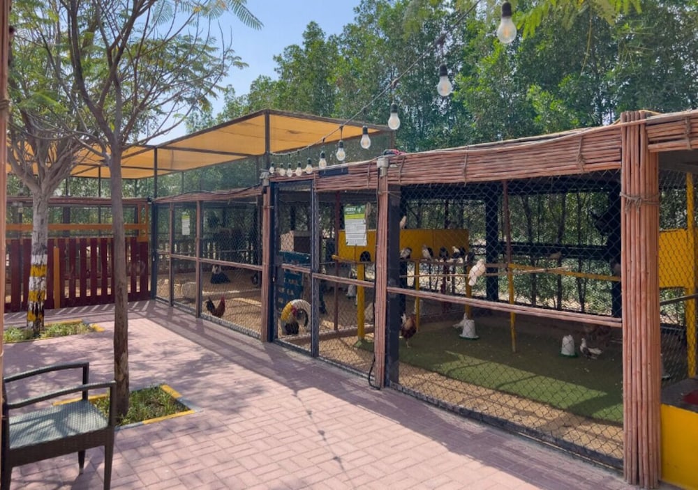 Pet-friendly amenities