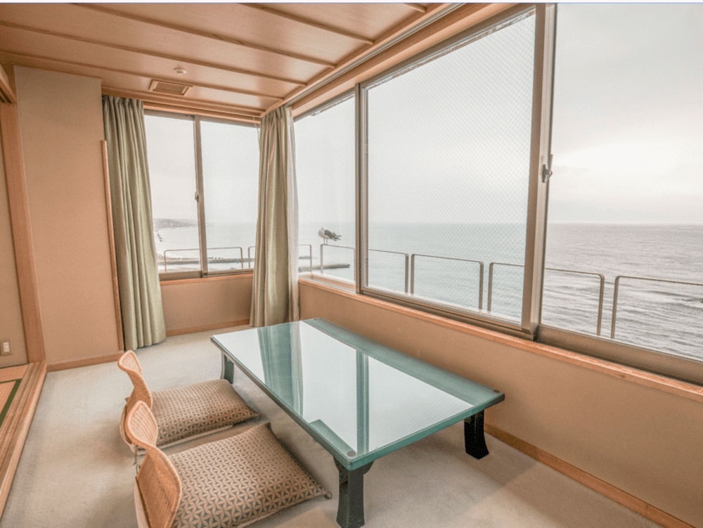Beach/ocean view