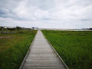 thumbnail: Beach