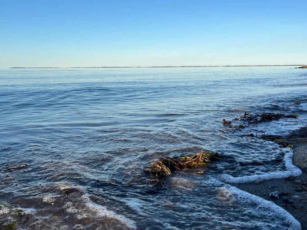 Water view