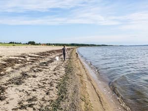 thumbnail: Water view