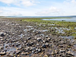 thumbnail: Water view