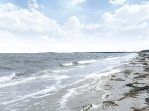 thumbnail: Water view