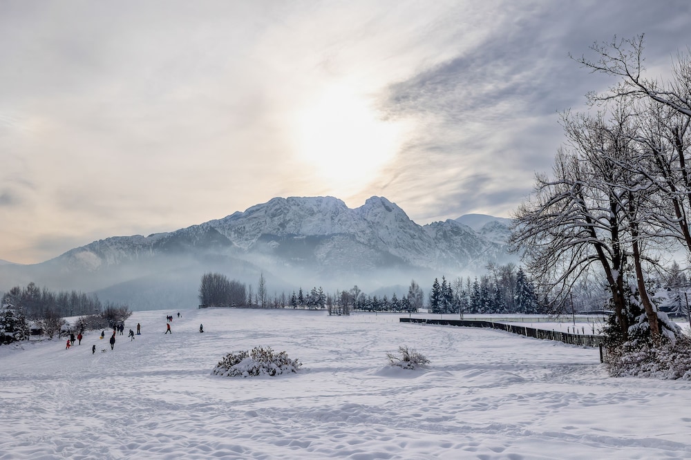 Land view from property