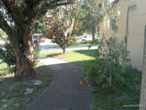 Homes-N-Courts