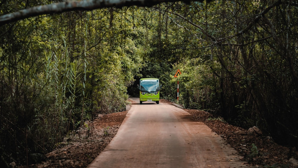 Spelunking/cave exploring