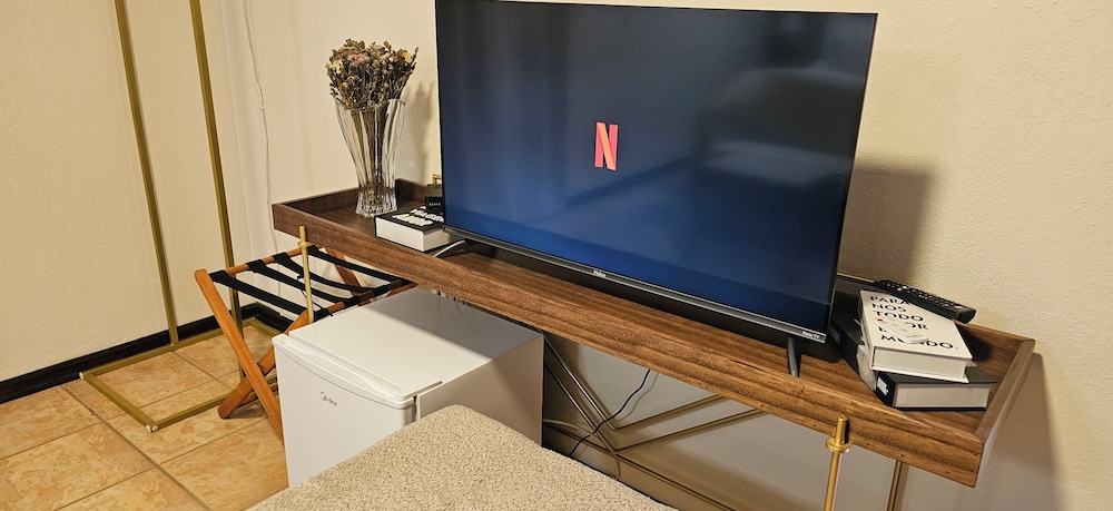 Television