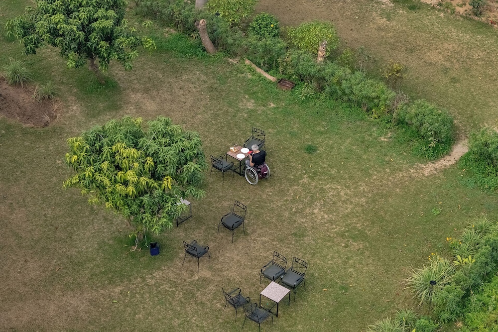 Garden view