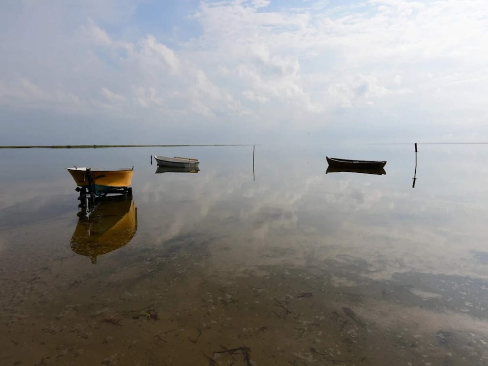 Water view
